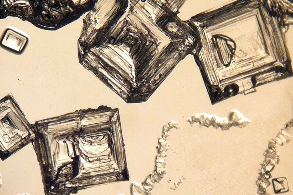 Imagen de un halita, un tipo de cristal de sal que se encuentra tanto en nuestro planeta, como en Marte y en meteoritos. (Créditos: Ximena Abrevaya)