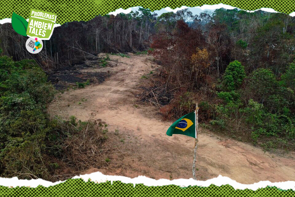 Los peores índices de deforestación fueron registrados en 1995, con 29.000 kilómetros cuadrados talados en tan solo un año.  (Fuente: AFP)