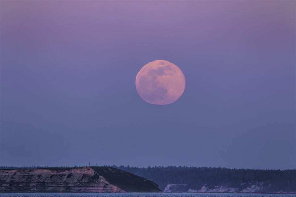 La luna rosa es una tradición del hemisferio norte (Fuente: AFP)