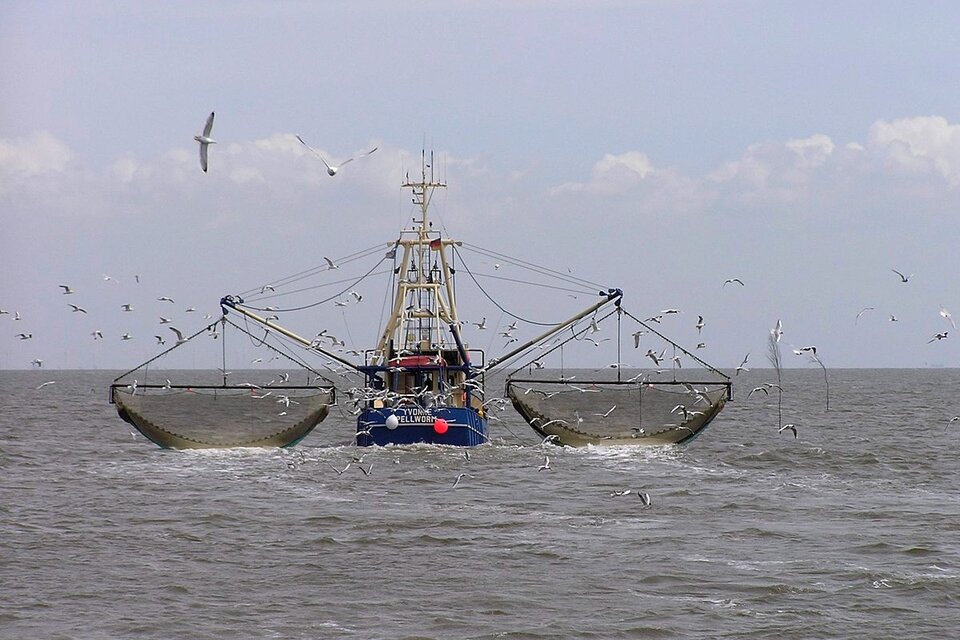 El principal producto de exportación es el langostino.