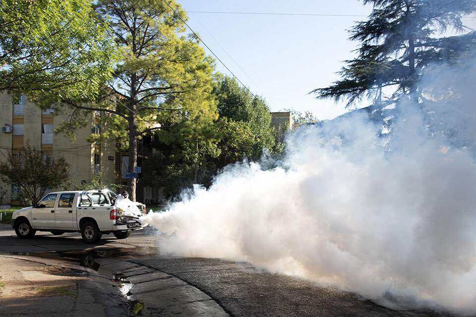 Además de la fumigación es clave descacharrar en cada domicilio. (Fuente: Prensa Municipalidad de Rosario)