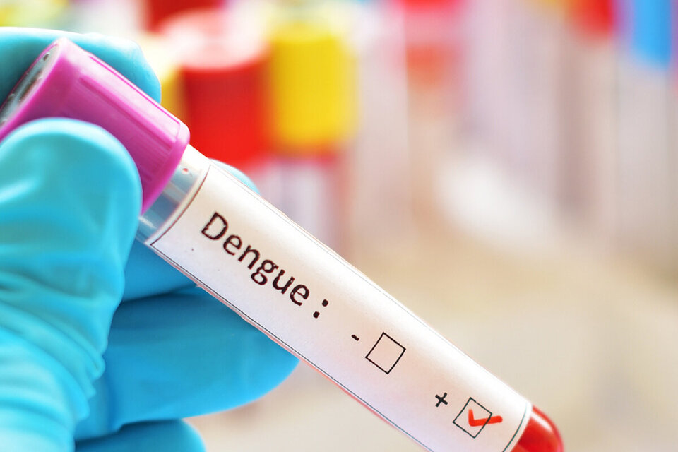 Cuba está desarrollando una vacuna que sirva para los cuatro serotipos del virus del dengue. 