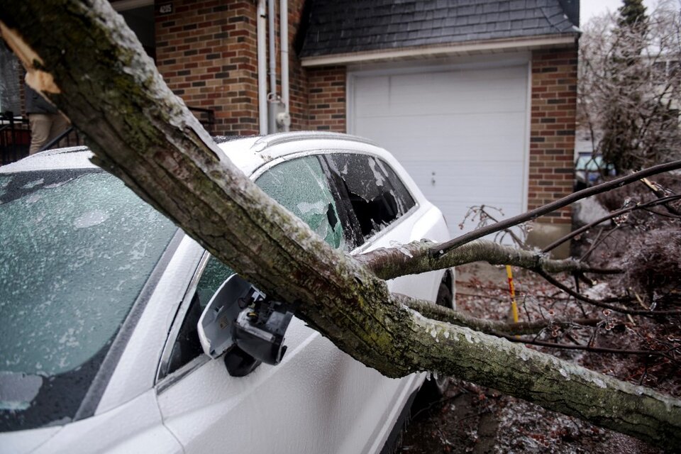 Destrozos en las provincias de Quebec y Ontario por árboles y postes caídos en medio de una fuerte tormenta helada. (Foto: AFP)