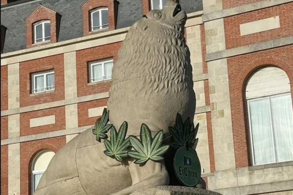 Los lobos marinos de la rambla marplatense con un collar de hojas de marihuana como promoción de la Cumbre Internacional de Cannabis que se realiza en la ciudad. 