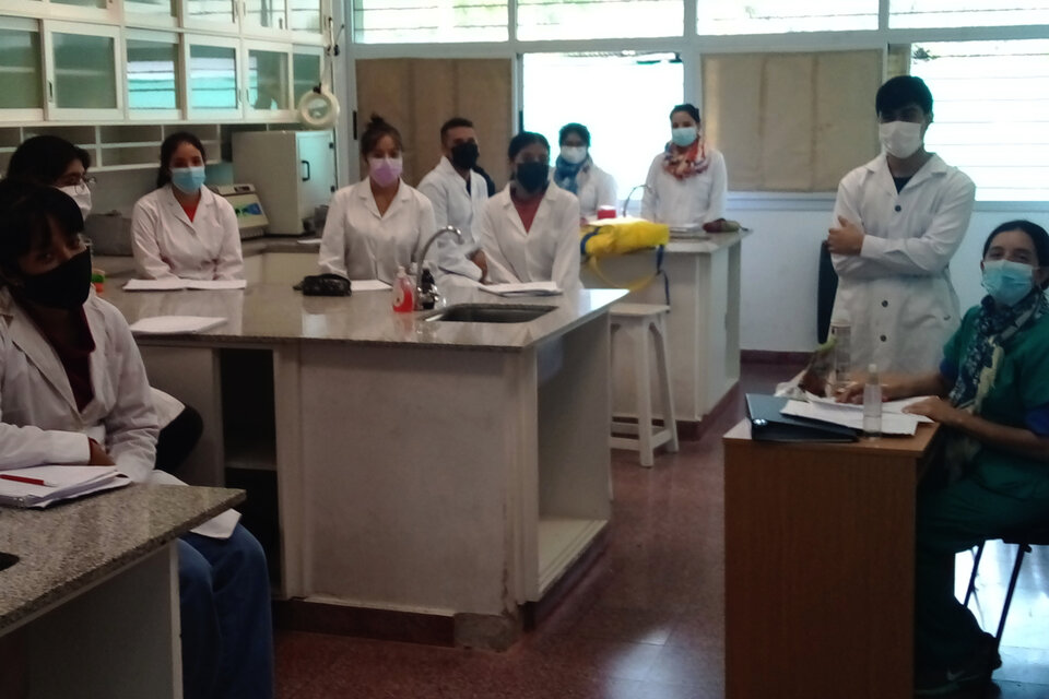 Estudiantes de segundo año de la carrera de Medicina en Salta, en clase de Histología e Inmunología. (Fuente: Analía Brizuela)