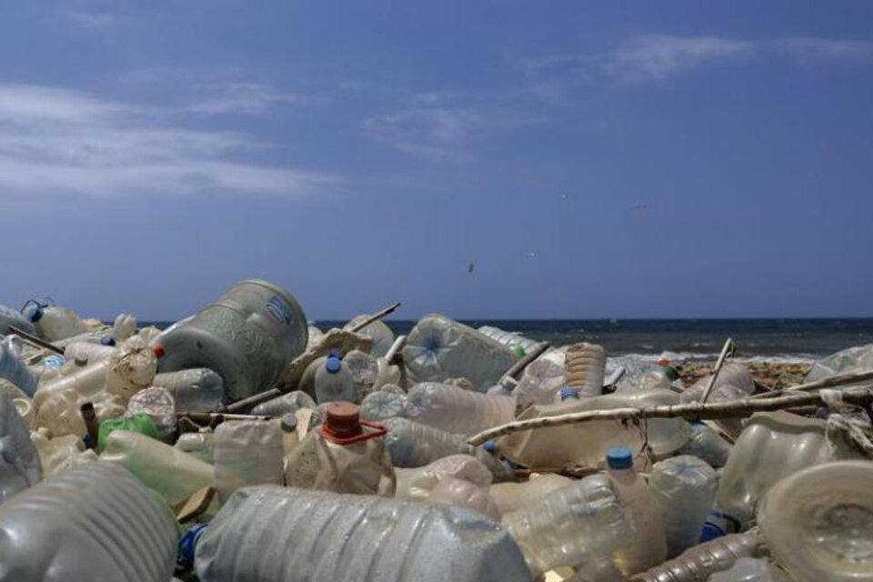 Pronostican que en 2050 habrá más plástico que peces en los mares
