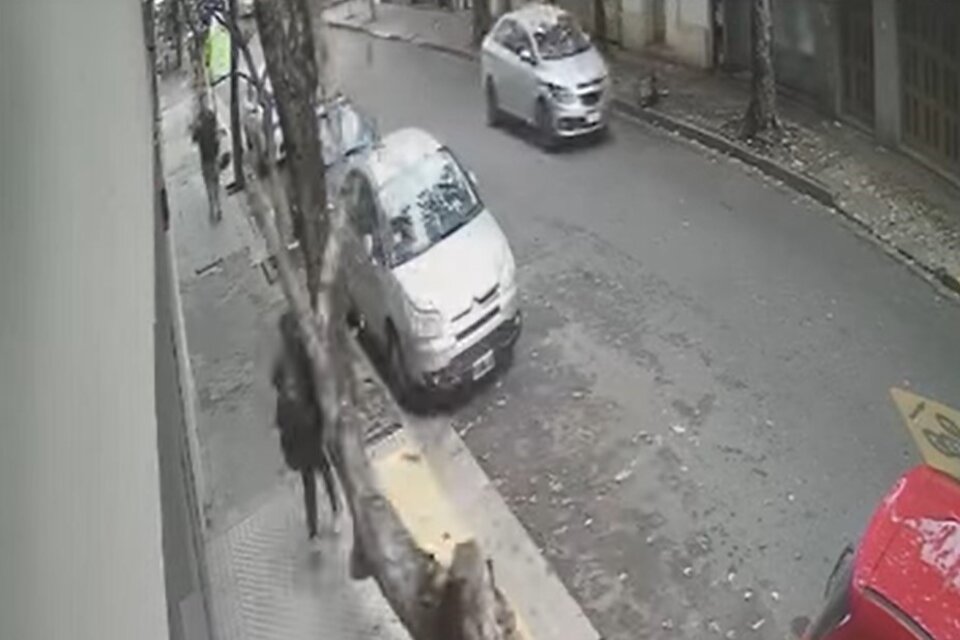 Momento en que la rama se cae sobre la mujer que caminaba por una vereda de Rosario. Imágen: captura de video. 