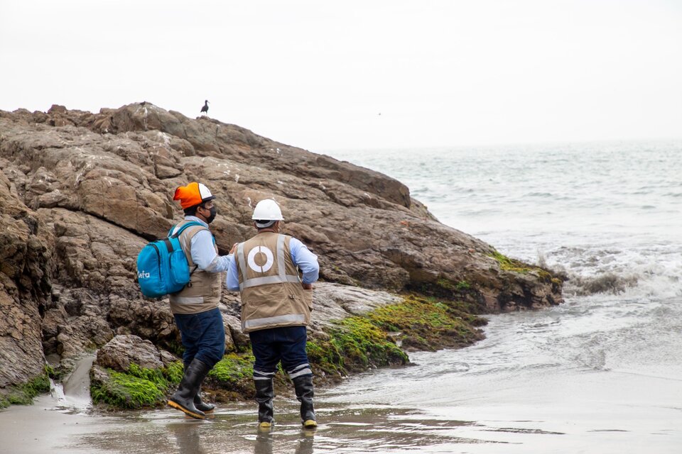 Al menos cinco playas de Perú siguen contaminadas por el derrame de petróleo de Repsol en 2022 (Fuente: Organismo de Evaluación y Fiscalización Ambiental)