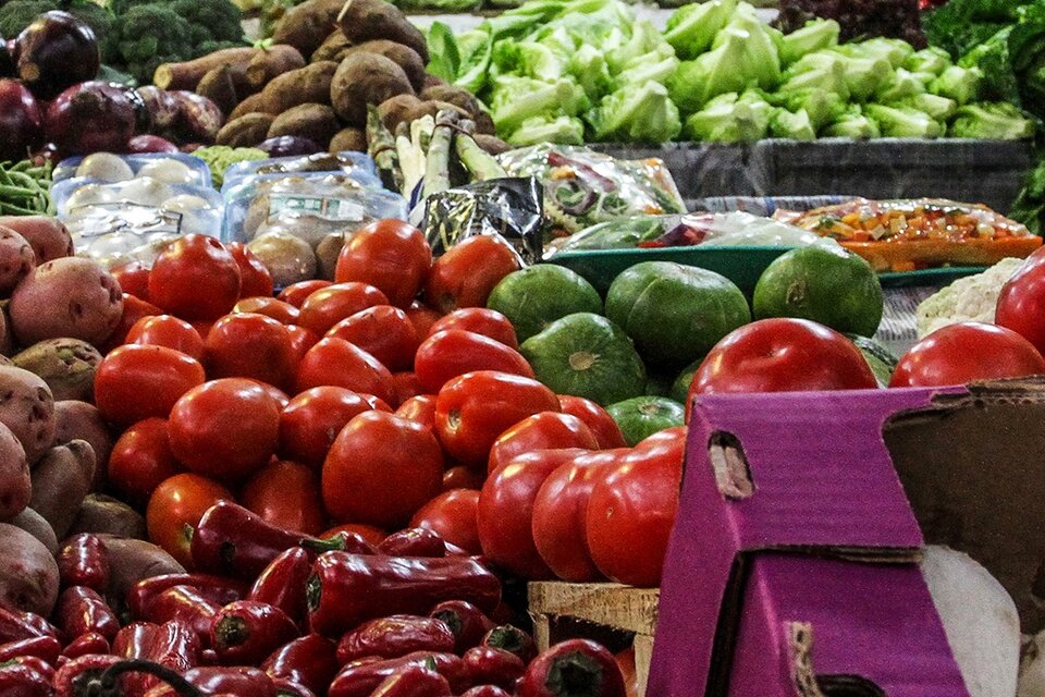 Las verduras subieron 7,3 por ciento en la última semana. (Fuente: Bernardino Avila)