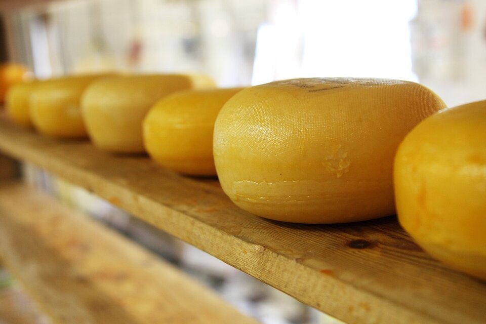 Una marca de queso sardo fue prohibida en todo el territorio nacional (Foto: Pixabay).