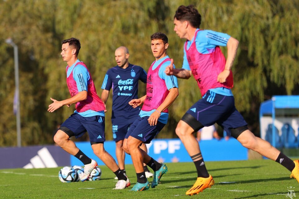 El martes la selección argentina juega su segundo partido en la Copa Mundial Sub-20. Imagen: Prensa AFA