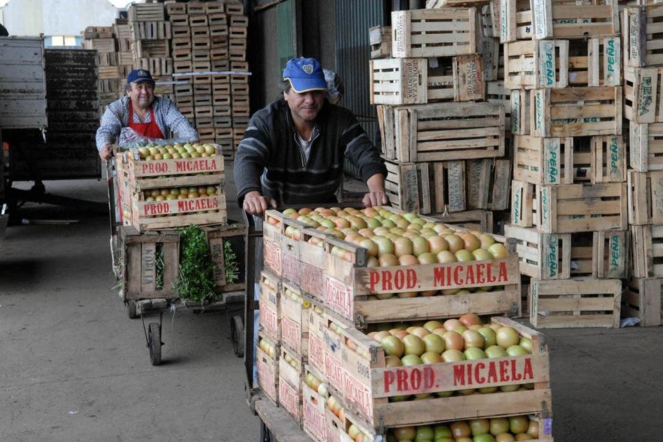 El presidente del Mercado Central cuestionó la iniciativa para importar frutas y verduras   (Fuente: Télam)