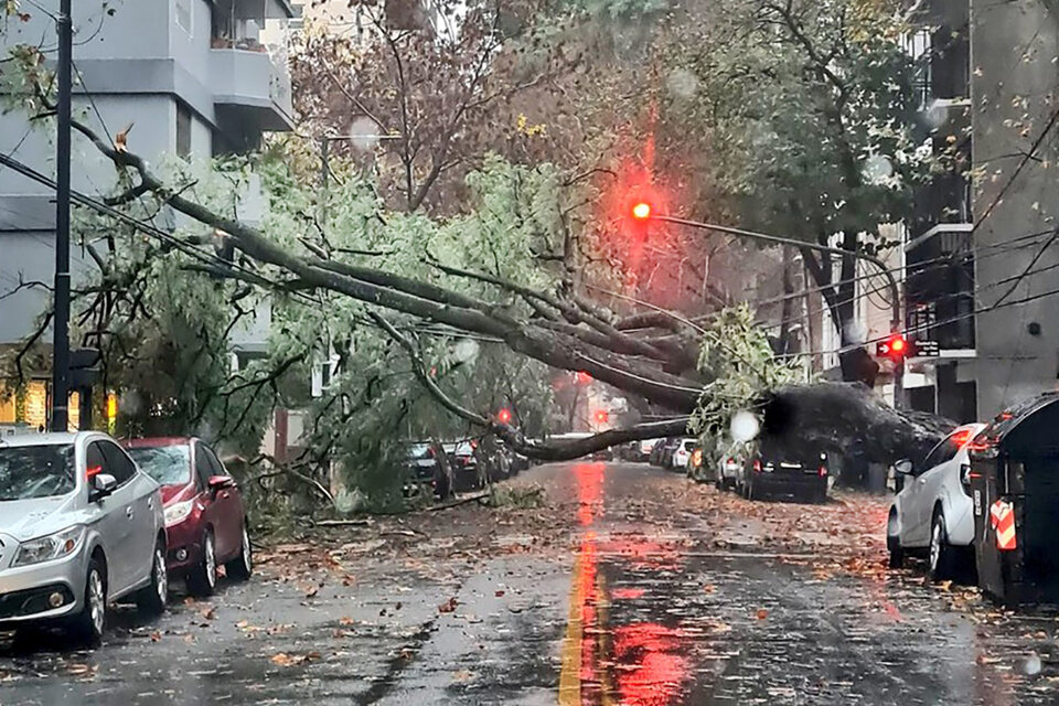 Récord De Lluvias, Vuelos Afectados Y Calles Inundadas Por El Temporal ...