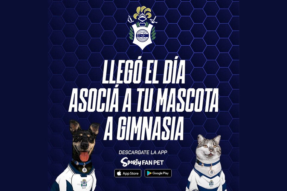 Gimnasia y Esgrima La Plata, un club donde las mascotas cobran protagonismo (Fuente: Prensa Gimnasia y Esgrima La Plata)