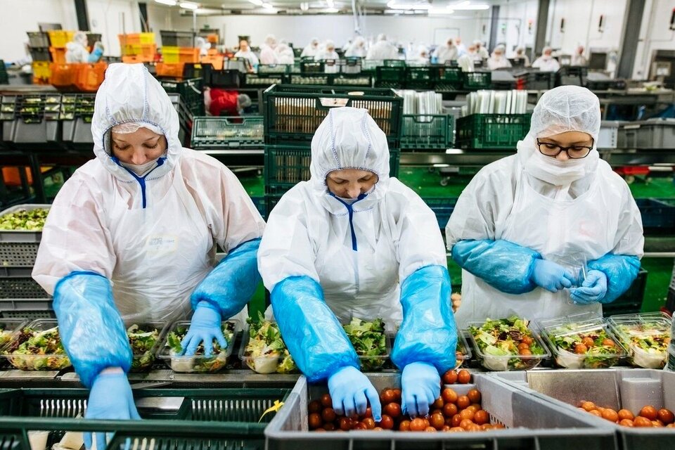 La industria de alimentos opera al 74,2 por ciento de su capacidad instalada.