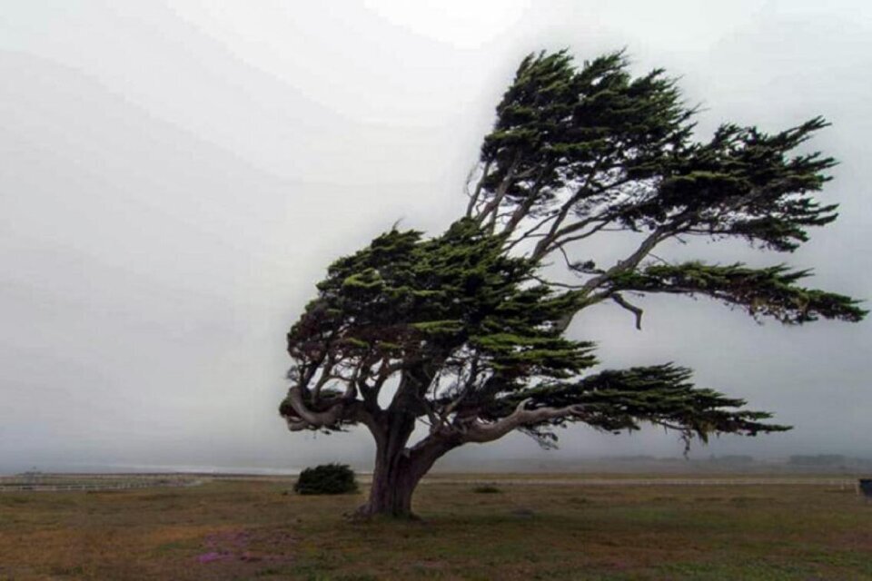 El SMN emitió alertas por fuertes vientos en tres provincias patagónicas.