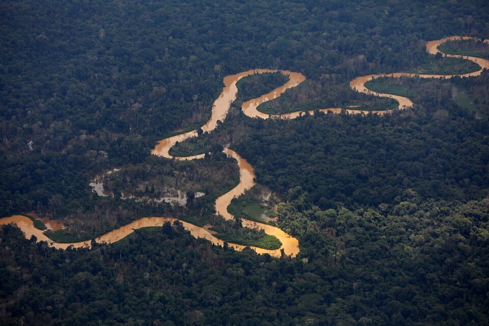 Desmantelaron diez campamentos de minería ilegal en la Amazonia brasileña (Fuente: AFP)