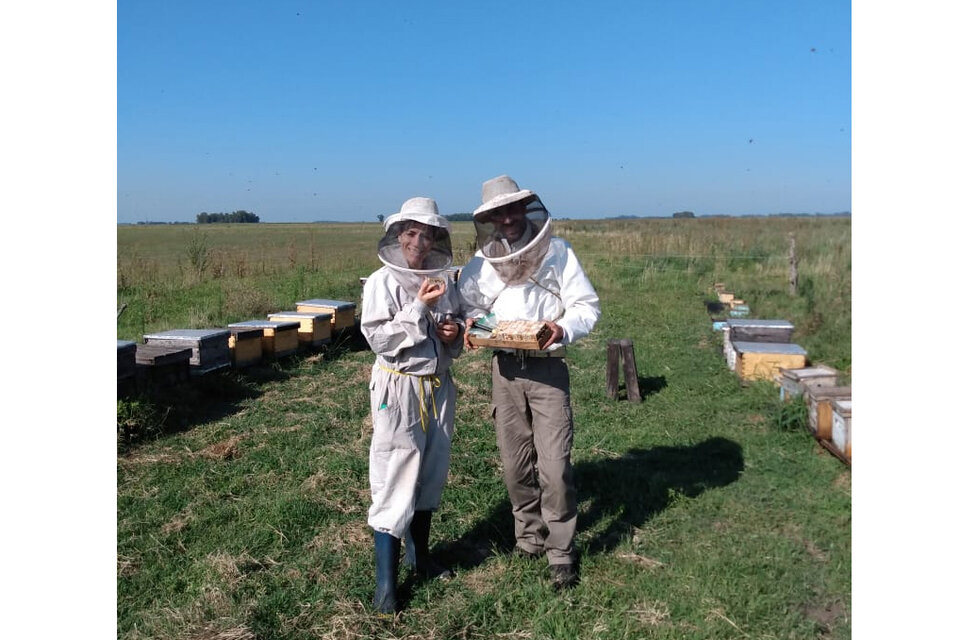 "Tucho" Muñíz: una vida entre abejas y mieles (Fuente: Bichos de campo)
