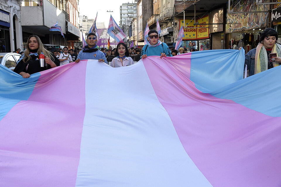 La bandera trans trae el ideal de un sujeto definido únicamente por su práctica. (Fuente: Andres Macera)