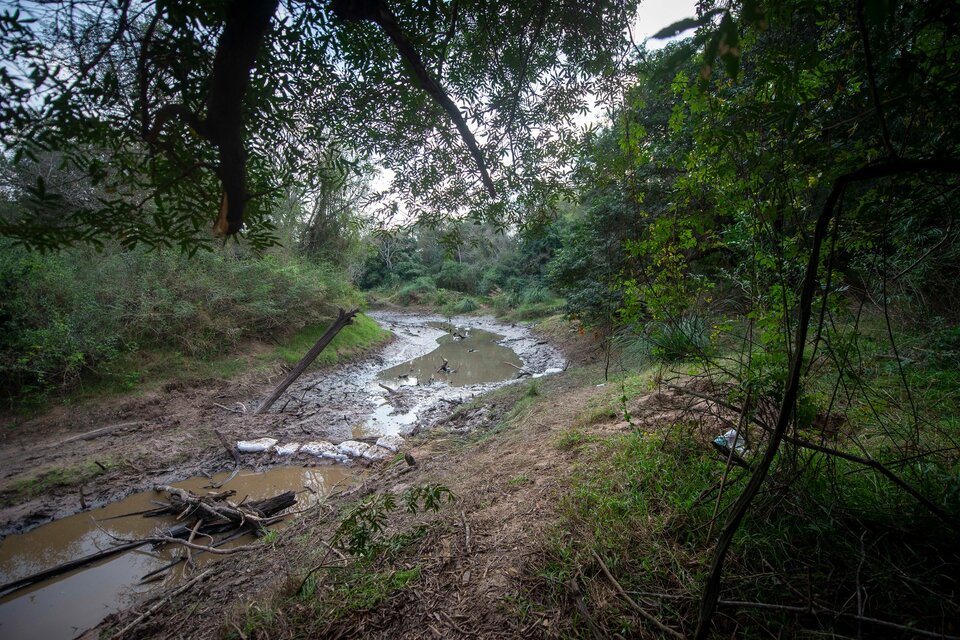 La zona del río Tragadero rastrillada en búsqueda de restos del cuerpo de Cecilia.