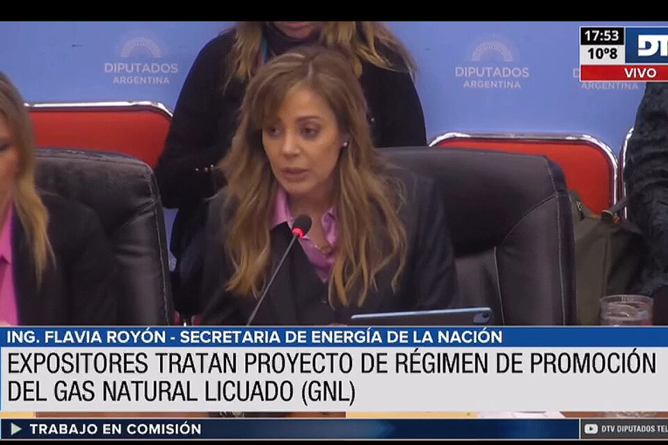 Royón sostuvo que el proyecto de Gas Natural Licuado "cambiaría la realidad productiva y económica de Argentina"