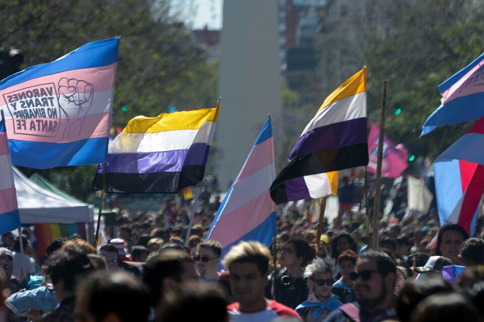 Las banderias de la diversidad no binarie, en la última Marcha del Orgullo de Buenos Aires