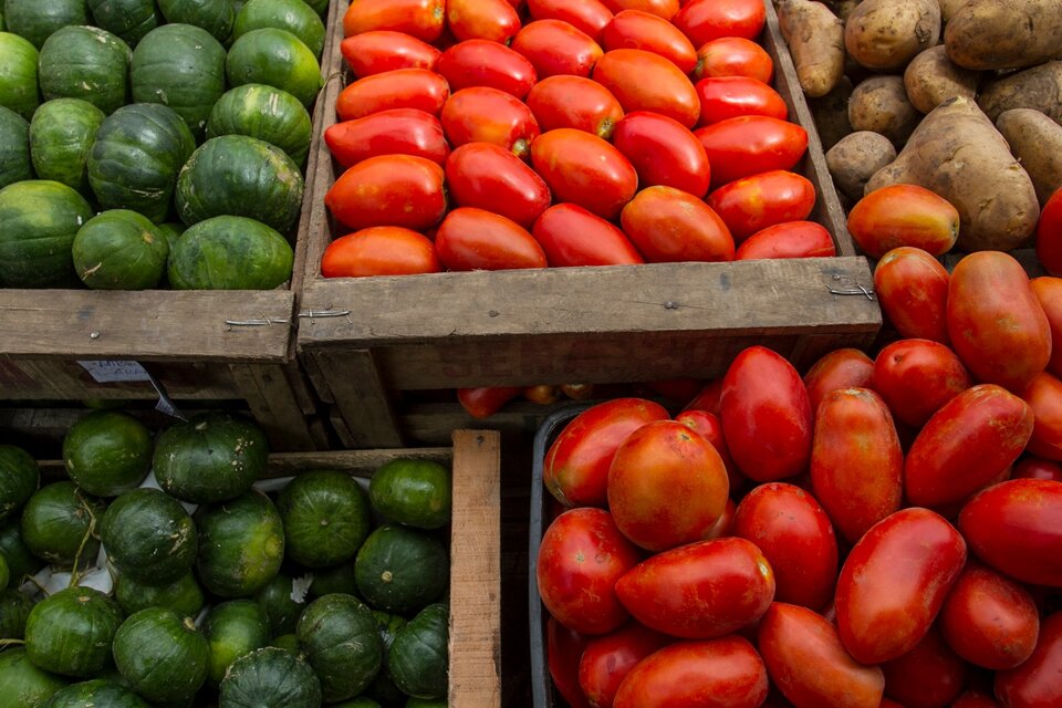 Frutas y verduras tuvieron precios más estables en junio, moderando la suba promedio de alimentos. (Fuente: Bernardino Avila)