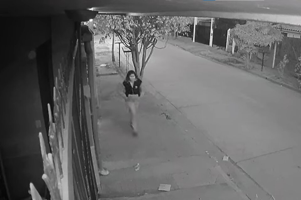 El momento en donde una mujer robó a una bebé recién nacida en Salta. (Foto: captura de video)