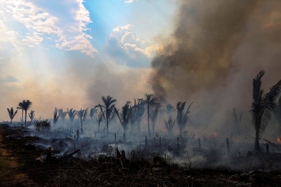 La deforestación destruyó gran parte de la Amzonía y pider evitar el punto de no retorno de manera urgente.  (Fuente: AFP)