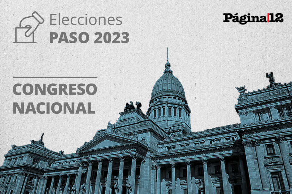 Resultados Elecciones PASO 2023 Para El Congreso Nacional: Quién Ganó Y ...