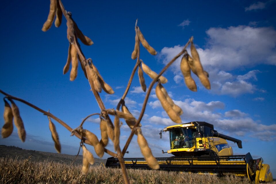 La próxima cosecha de soja ascendería a 48 millones de toneladas. (Fuente: Alejandro Elías)