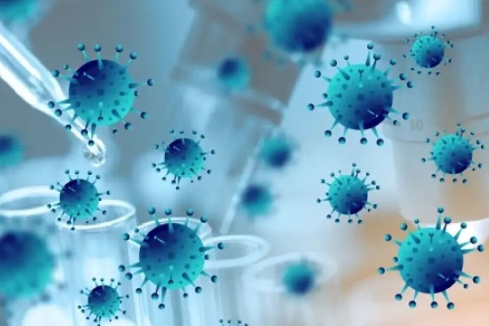 Una nueva cepa del coronavirus se detectó en el país. No sería más contagiosa que las anteriores. Imagen: CONICET