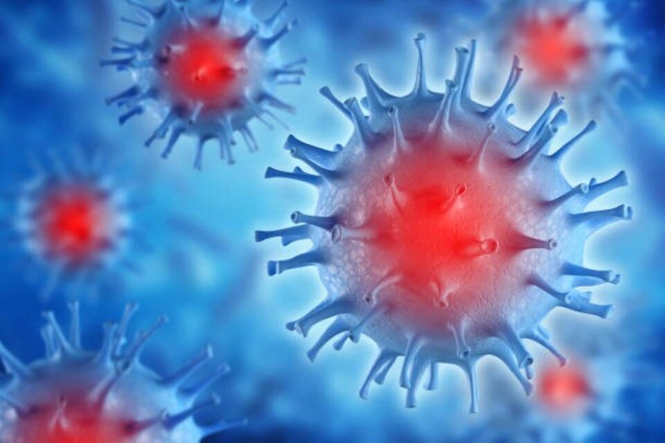 La nueva cepa Eris del coronavirus pro el momento es de "bajo resgo", según la OMS. Imagen: Pexels
