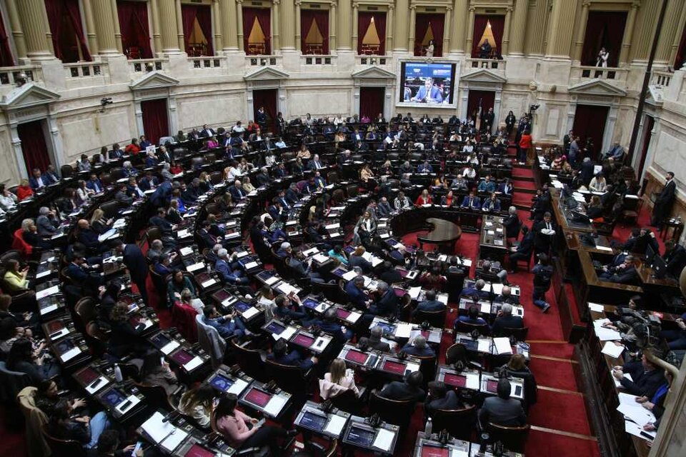 Tras la media sanción, la Cámara Baja traslada el proyecto a la Cámara de Senadores  (Fuente: NA)