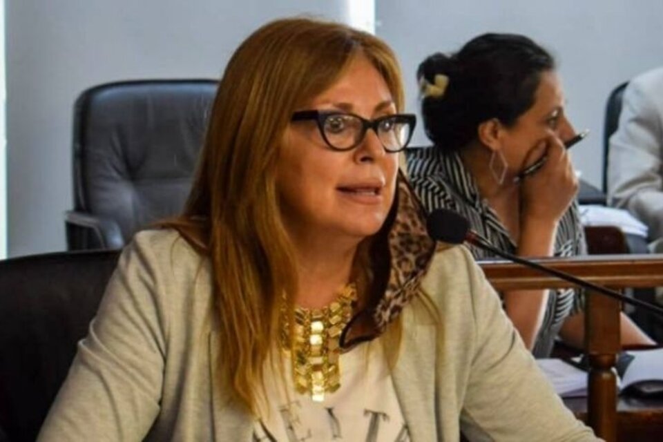 Catamarca: Repudio de diputados a los dichos del jefe de campaña de Milei 