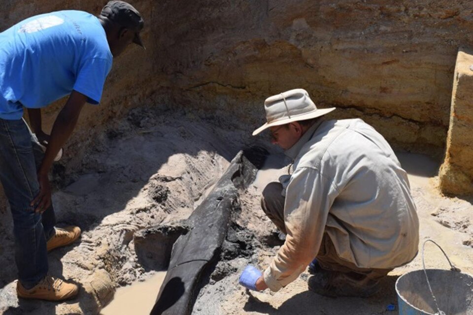 El equipo de excavación mientras descubre una estructura de madera.  (Fuente: University of Liverpool)