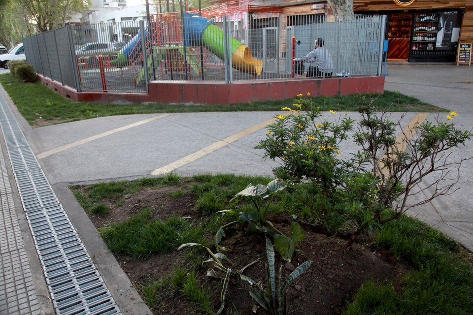 Los nuevos "espacios verdes" de la ciudad: éste en el barrio de Santa Rita. (Fuente: Jorge Larrosa)