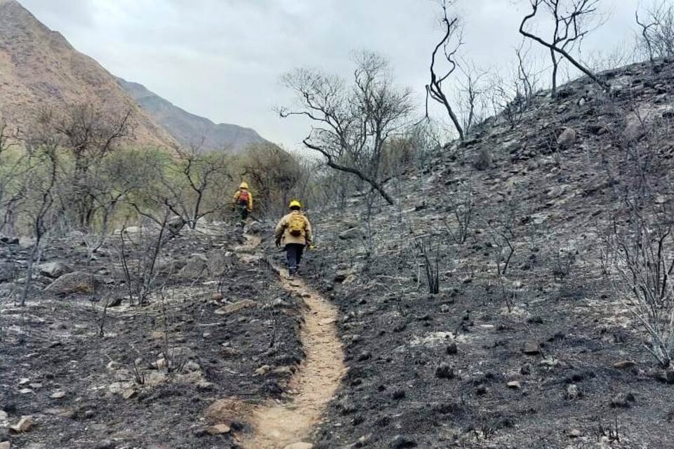 Se triplicó la cantidad de hectáreas afectadas por el fuego en Ambato