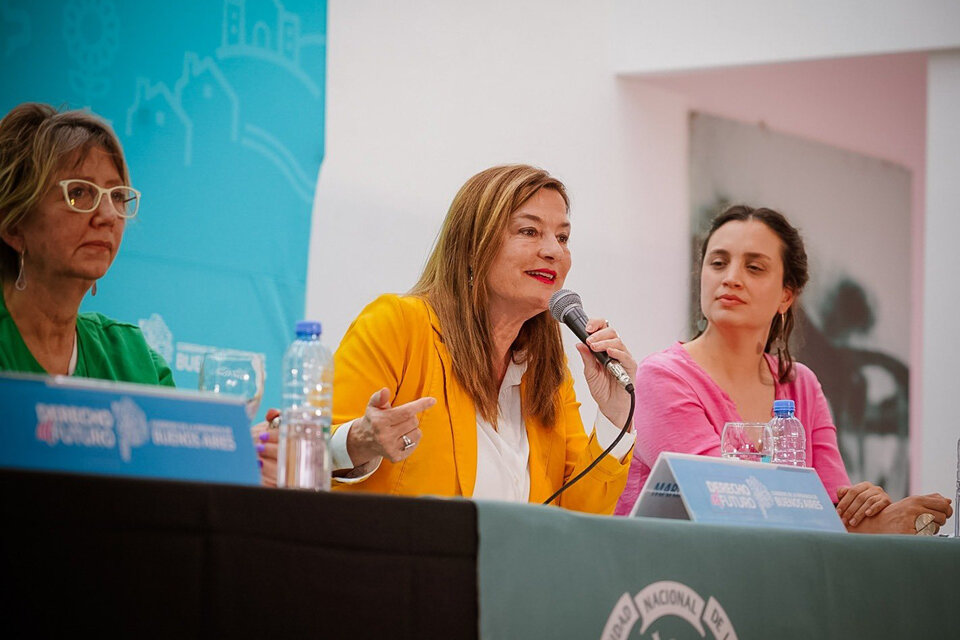 Estela Díaz en el panel de la UNLP.