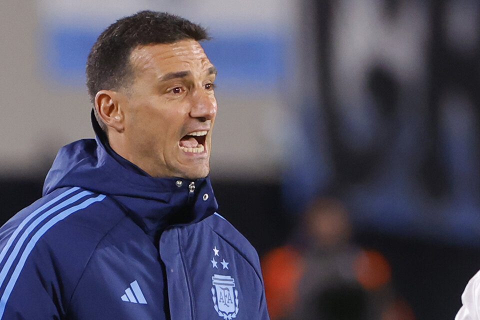 Lionel Scaloni, entrenador del Selección. (Fuente: EFE)