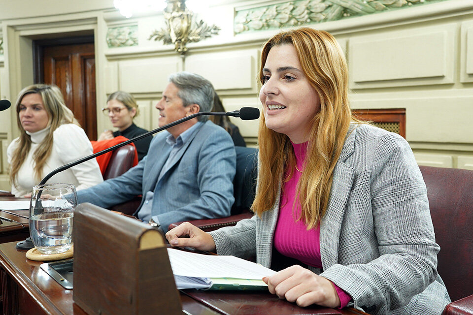 A diputada Cattalini en primer plano y su par Ulieldín, al fondo, que sería la acusadora. (Fuente: Prensa Diputados)