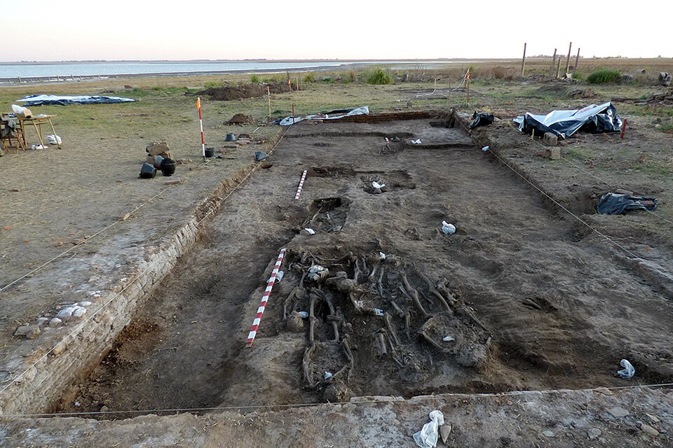Al comenzar las excavaciones, los arqueólogos encontraron restos óseos de 2000 años.