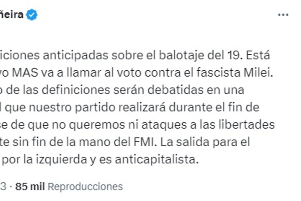 Manuela Castañeira aseguró que el Nuevo MAS "va a llamar al voto contra el fascista Milei". (Imagen: Prensa Manuela Castañeira)