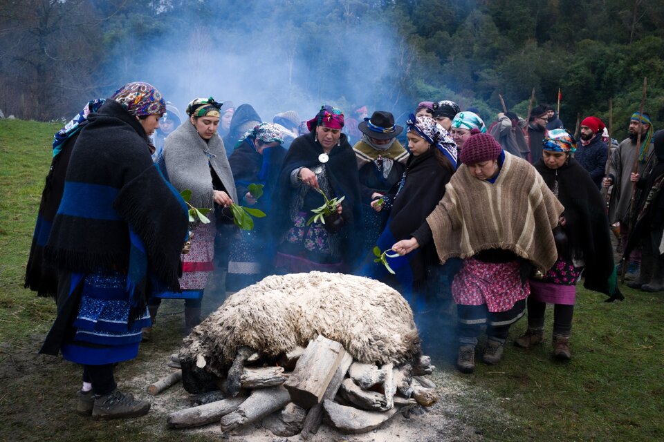 Fotografías sobre la nación mapuche y la machi Millaray (Fuente: Pablo Piovano)