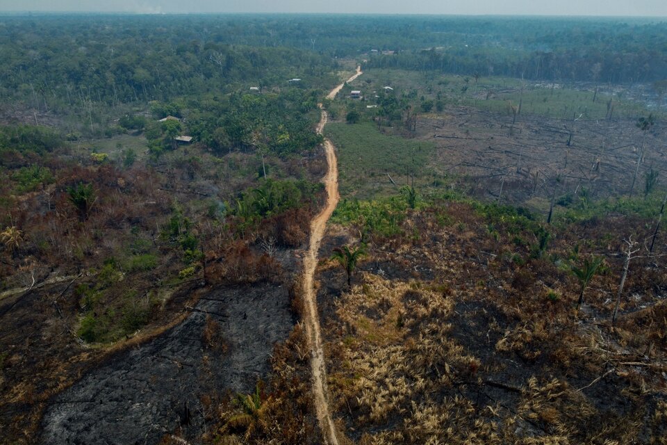 La ministra de Medio Ambiente subrayó los desafíos para cumplir la meta del gobierno de reducir a cero la deforestación en Brasil para 2030 (Fuente: AFP)