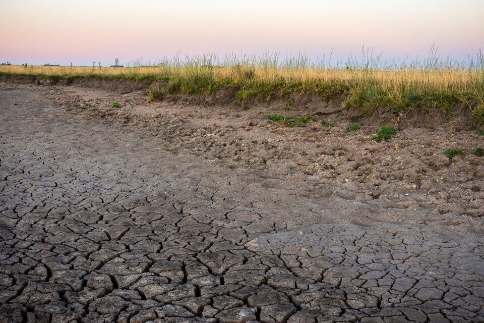 Durante este año, la sequía golpeó profundamente a la economía nacional. (Fuente: Verónica Bellomo)