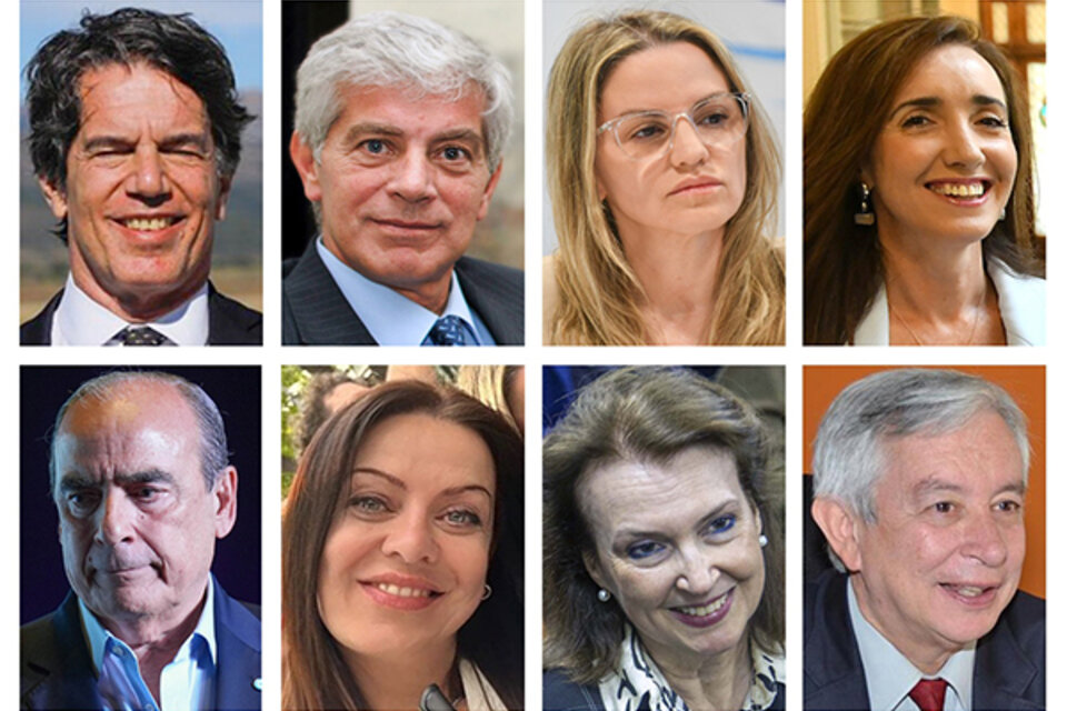 Nicolás Posse, Mariano Cúneo Ribarona, Carolina Píparo, Diana Mondino y Sandra Pettovello son algunos de los confirmados del próximo gabinete. 
