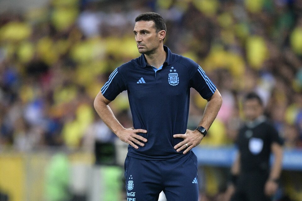 Sorpresa: Scaloni amagó con la renuncia tras el triunfo sobre Brasil |  "Esta Selección necesita un entrenador que tenga todas las energías  posibles y que esté bien" | Página|12