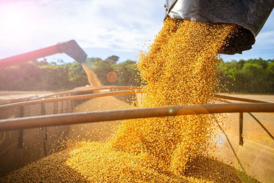 La Aduana detectó la maniobra y denunció a las  7 principales exportadores de soja (Fuente: AFP)