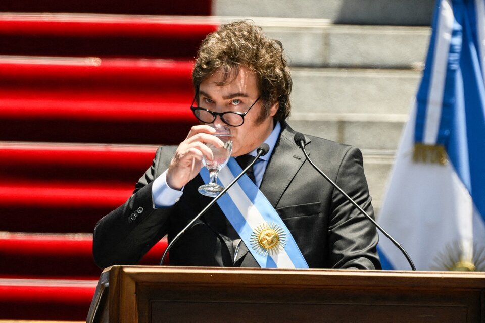 El Desafío Económico de Milei: Entre la Crítica y la Controversia